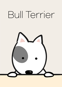 Cute Bull Terrier