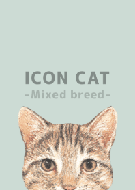 ICON CAT -Mixed breed cat- PASTEL GR/02