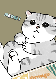neko single15 - olive