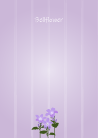 May birth flower,Bellflower