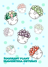 ハオルチアオブちゃんズー#pop