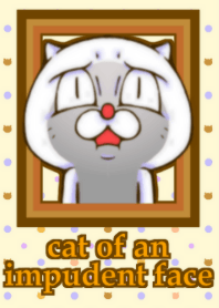 cat of an impudent face 