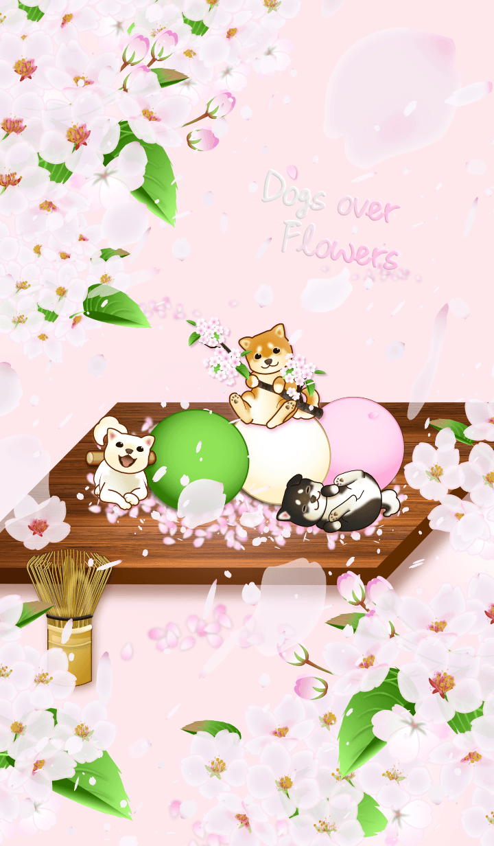 Dogs over Flowers(cherry blossoms)