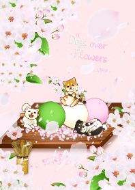 Dogs over Flowers10(cherry blossoms)