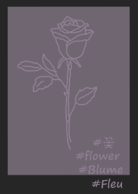#flower* rose (black purple)