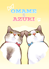 cat that omame and adzuki