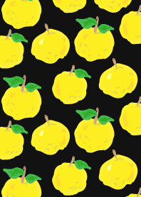 YUZU DAYS Black from JAPAN