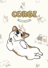 corgicorgi8 - yellow cream