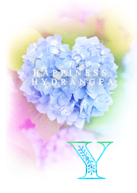 Happiness Hydrangea_Y