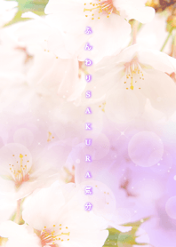Softly SAKURA feeling - purple - from J