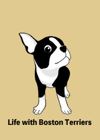 ボストンテリアのベイビー着せ替え