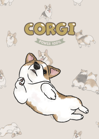 corgicorgi8 - dark beige