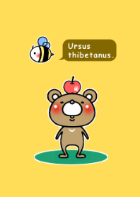 Ursus thibetanus.