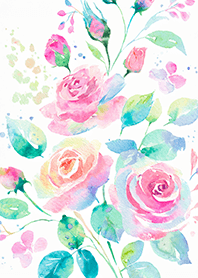 Beautiful rose flower(R4197)