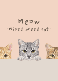 Meow - Mixed breed cat 03 - SHELL PINK