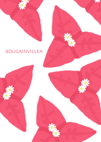 bougainvillea flower