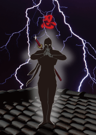 The ninja_7 @
