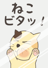 ねこビタッ!(修正版)