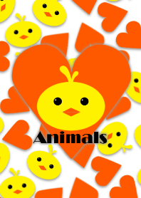 Animals -Yellow chick-