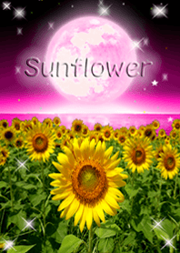 sunflower in the sky!14(Strawberry Moon)