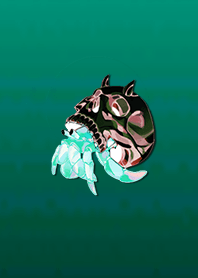 Hermit crab skull 11