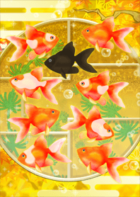 Luxurious goldfish and good luck