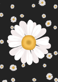 You are my Daisy