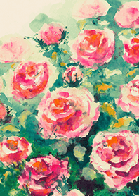 Beautiful rose flower(R4090)