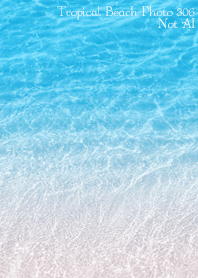 Tropical Beach Photo 306 Not AI
