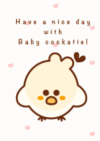 I love cockatiel 10