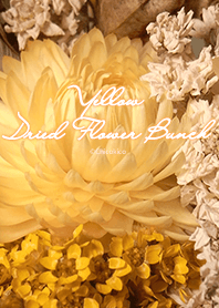 Yellow Dried Flower Bunch .