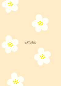 Floral pattern colorful27