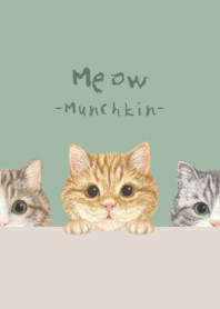 Meow - Munchkin - DUSTY GREEN