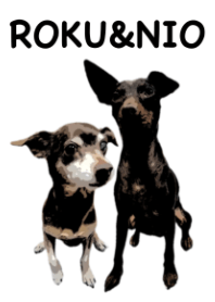 ROKU&NIO W