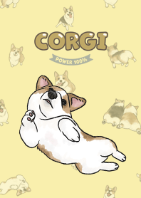 corgicorgi8 - lemonade