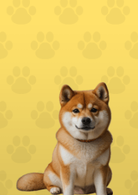 Cute Shibainu Theme Yellow 04