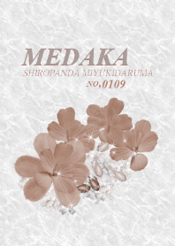 MIYUKI DARUMA MEDAKA