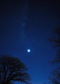 Bright Moon and Dawn 028323