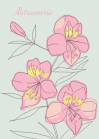 アルストロメリアの花