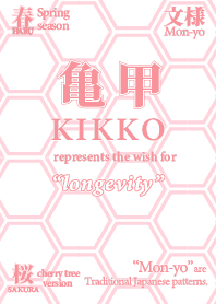 Japanese Pattern KIKKO