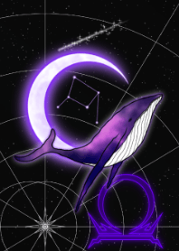 鲸鱼和天秤座-紫色-