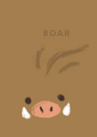 Little Boar