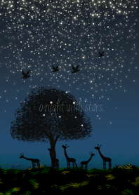 アフリカの星降る夜