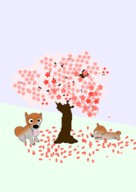 桜の木と柴犬