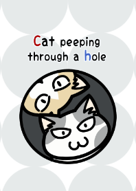 Cat peeping through a hole