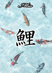 Mia Japanese style carp