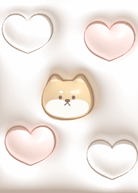 brown Fluffy Shiba Inu 03_1
