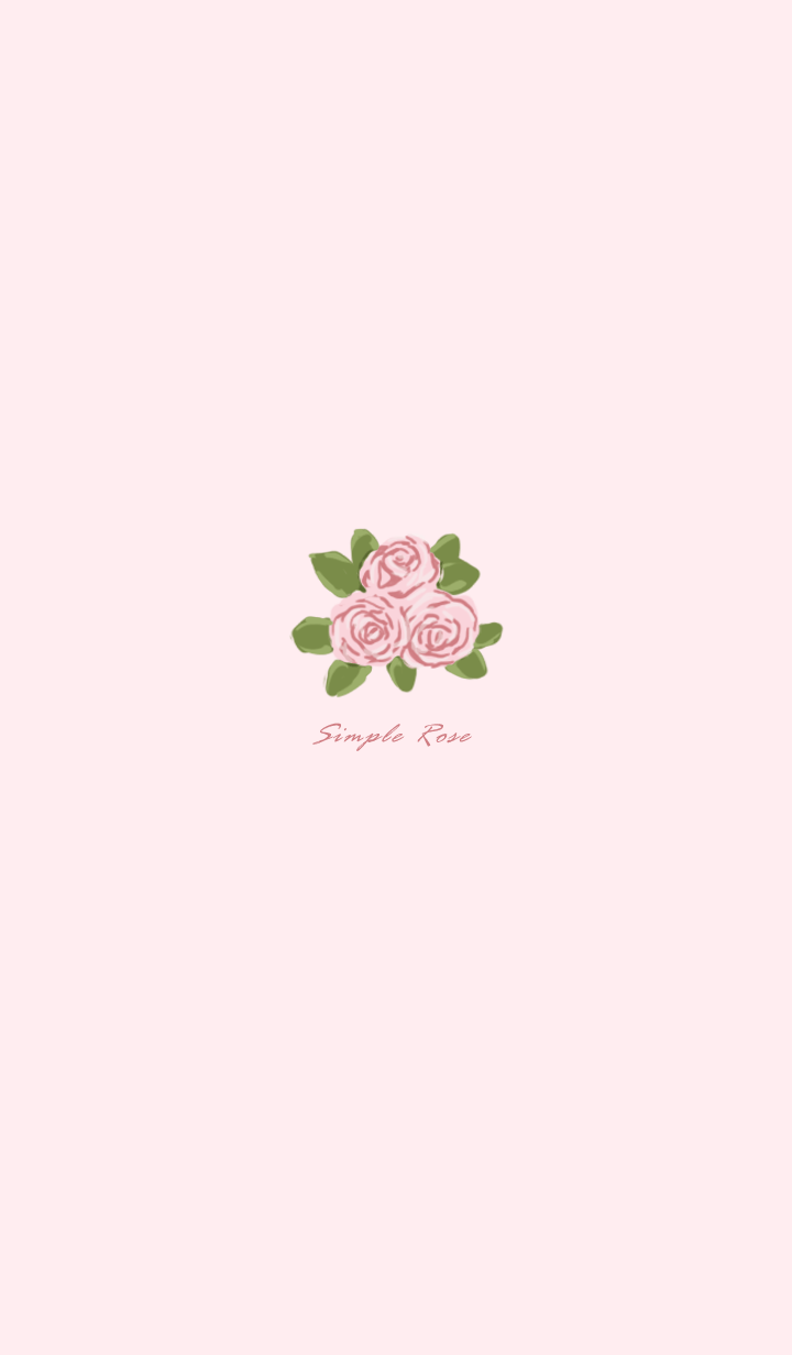 ดอกกุหลาบ สีชมพู
