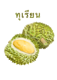 榴蓮　3