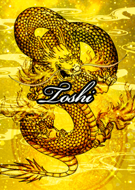 Toshi Golden Dragon Money luck UP